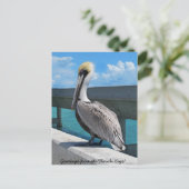 Pelican in the Florida Keys postcard (Standing Front)