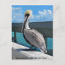 Pelican in the Florida Keys postcard