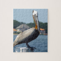 PELICAN