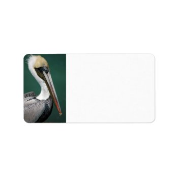 Pelican Label by paul68 at Zazzle