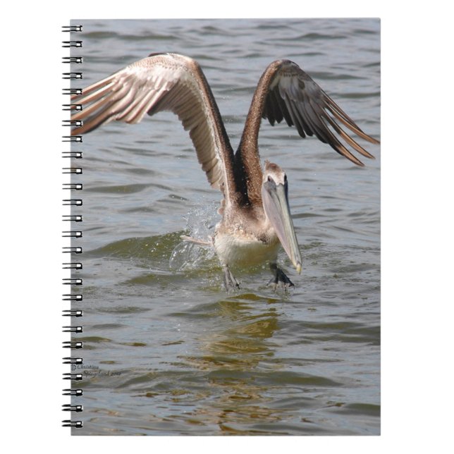 Pelican landing in water Notebook (Front)