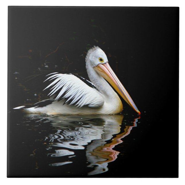 Pelican, large white bird, ceramic tile (Front)