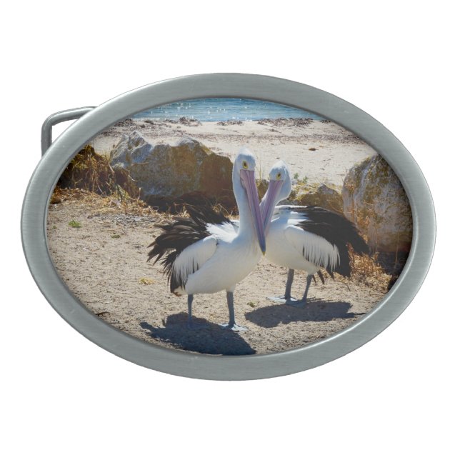 Pelican Love,  Belt Buckle (Front)