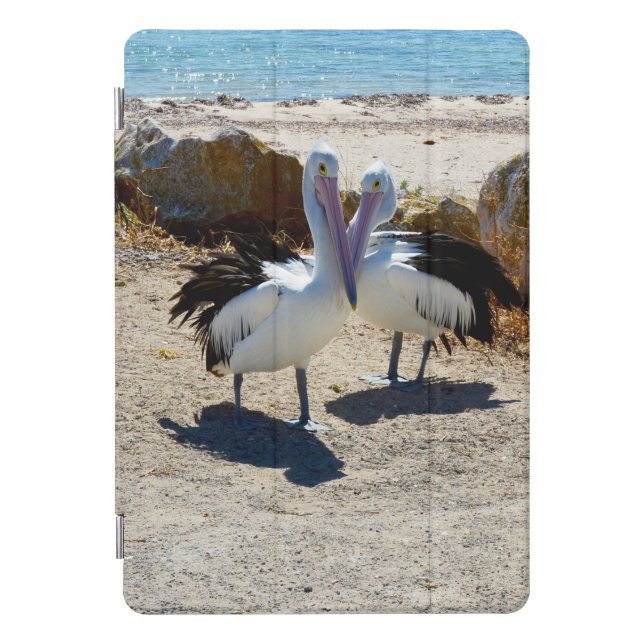 Pelican Love, iPad Case (Front)