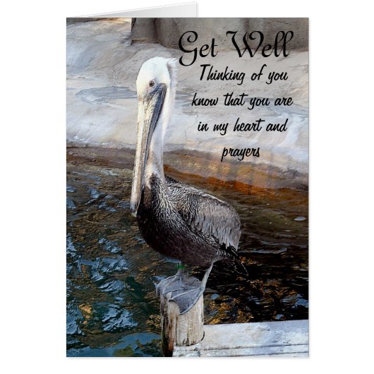 Pelican Love,-Occasions_ Cards (Front)