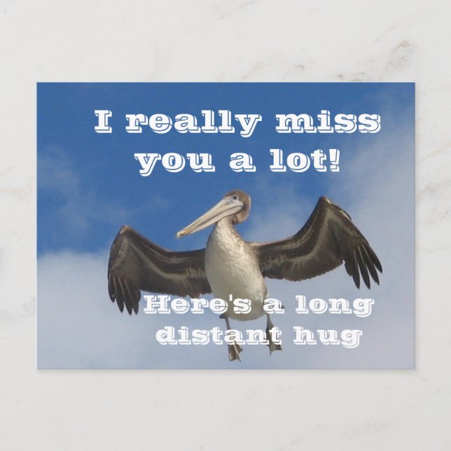 Pelican Love_ Postcard (Front)