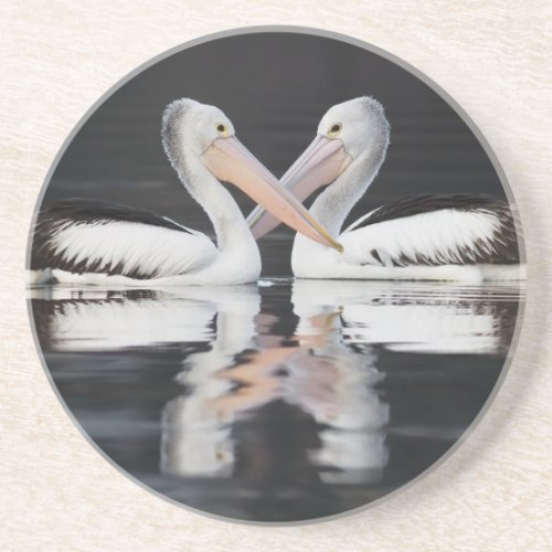 Pelican Love Sandstone Coaster
