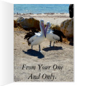 Pelican Love, Valentines Day, Big Greeting Card. (Inside (Right))