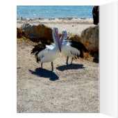 Pelican Love, Valentines Day, Big Greeting Card. (Inside (Left))