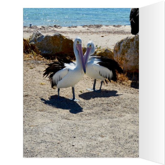 Pelican Love, Valentines Day, Big Greeting Card. (Inside (Left))