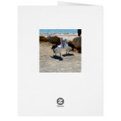 Pelican Love, Valentines Day, Big Greeting Card. (Back)