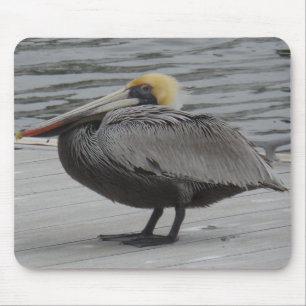 Pelican Mouse Pad