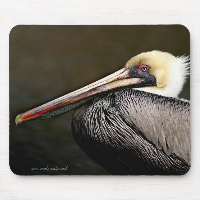 Pelican Mousepad (Front)