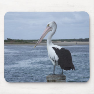 Pelican Mousepad
