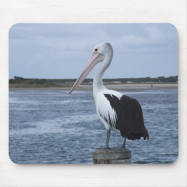 Pelican Mousepad (Front)