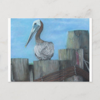 Pelican of Hatteras Ferry Postcard