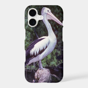 Pelican on a branch, Tasmania - Australia iPhone 17 Case