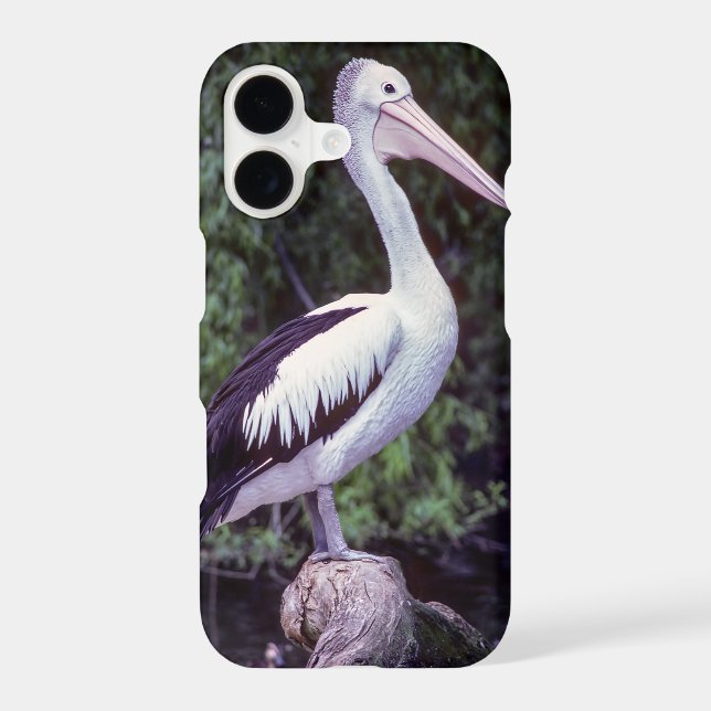 Pelican on a branch, Tasmania - Australia Case-Mate iPhone Case (Back)