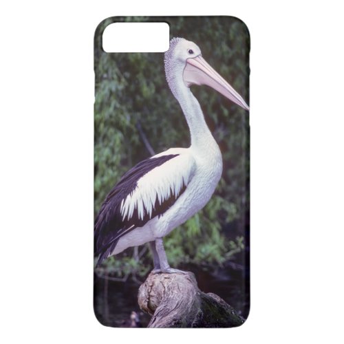 Pelican on a branch Tasmania _ Australia iPhone 8 Plus7 Plus Case