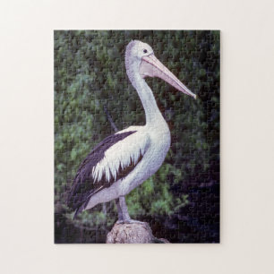 Pelican on a branch, Tasmania - Australia Jigsaw Puzzle