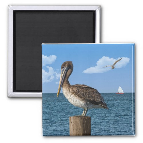 Pelican on a Post Magnet