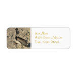 Pelican on Beach Mailing Labels