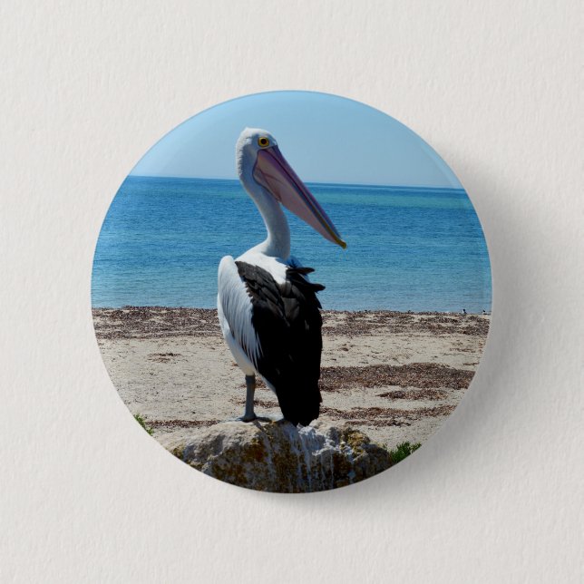 Pelican On Beach Rock, Button (Front)