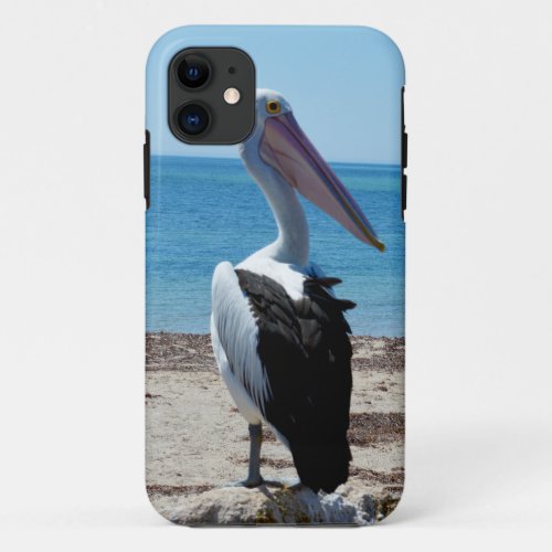 Pelican On Beach Rock iPhone 11 Case