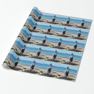 Pelican On Beach Rock, Wrapping Paper