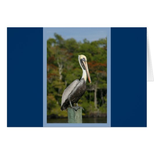 Pelican on Blue (Front Horizontal)