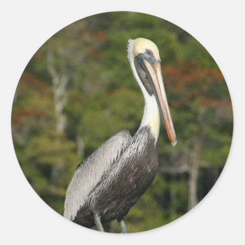 Pelican on Blue Classic Round Sticker