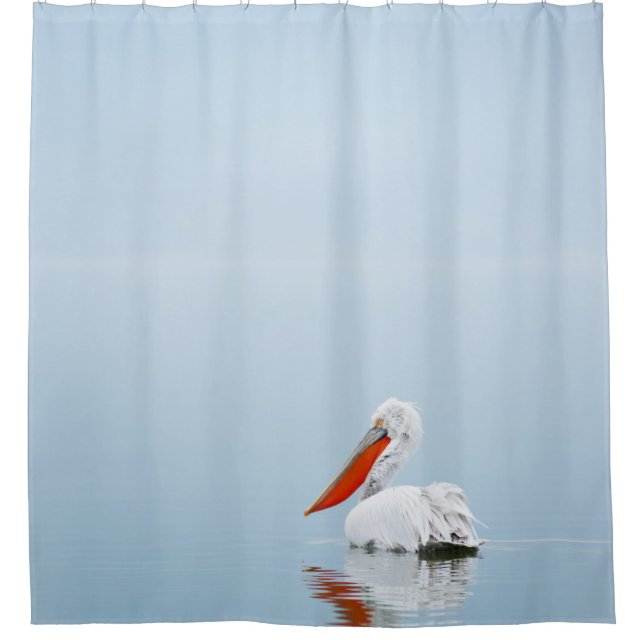 PELICAN ON BLUE WATER SHOWER CURTAIN (Front)