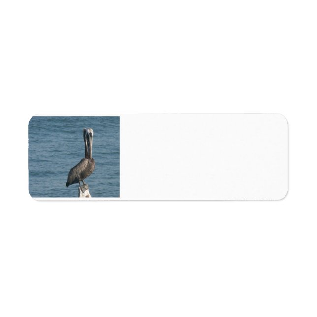 Pelican on Piling Label (Front)