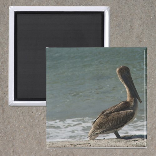 Pelican on the Beach Photo Magnet