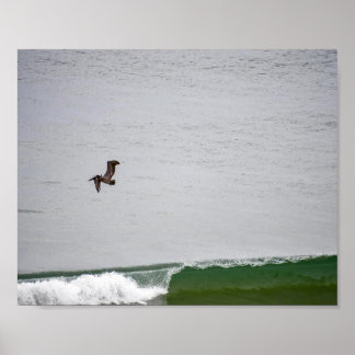 Pelican Over the Wave Poster