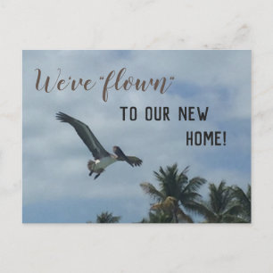 Pelican Palm Trees New Address Announcement Postcard