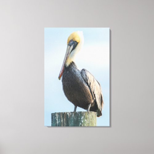 Pelican perched on pylon canvas print