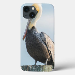 Pelican perched on pylon iPhone 13 case