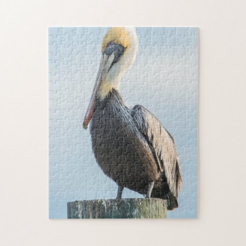 Pelican perched on pylon jigsaw puzzle