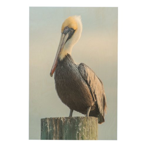 Pelican perched on pylon wood wall art