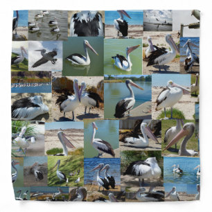 Pelican Photo Collage, Bandana