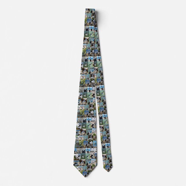 Pelican Photo Collage, Neck Tie (Front)