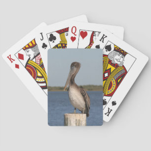 Pelican Photograph Deck of Cards