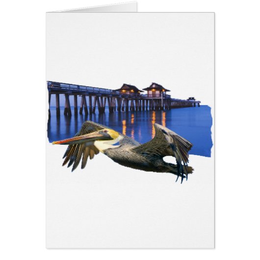 Pelican Pier Cards (Front)
