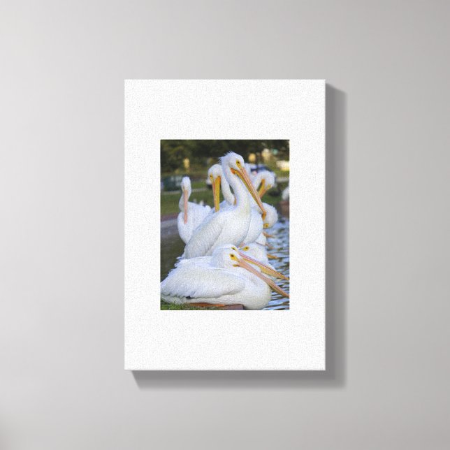 Pelican Pile Art Canvas (Front)