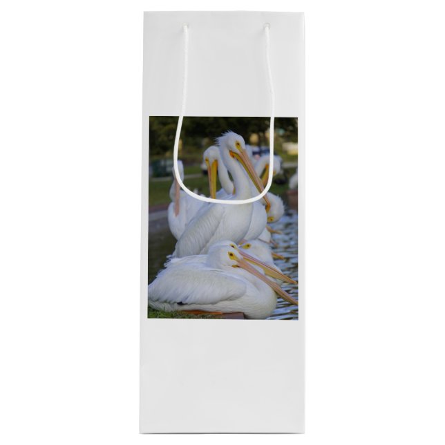 Pelican Pile Wine Gift Bag (Front)