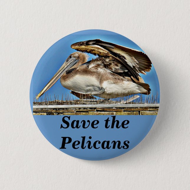 Pelican_ Pinback Button (Front)