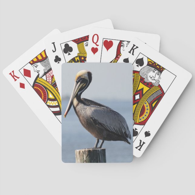 Pelican Playing Cards (Back)
