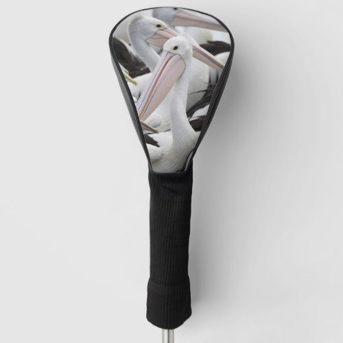 Pelican Pod Golf Head Cover