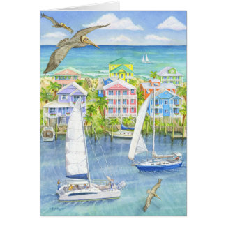 Pelican Point of View Cards